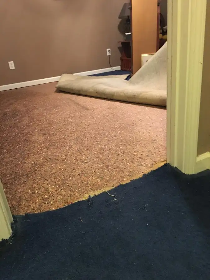 Carpet pad removal revealing water damage during Water Mitigation Services in Cambridge