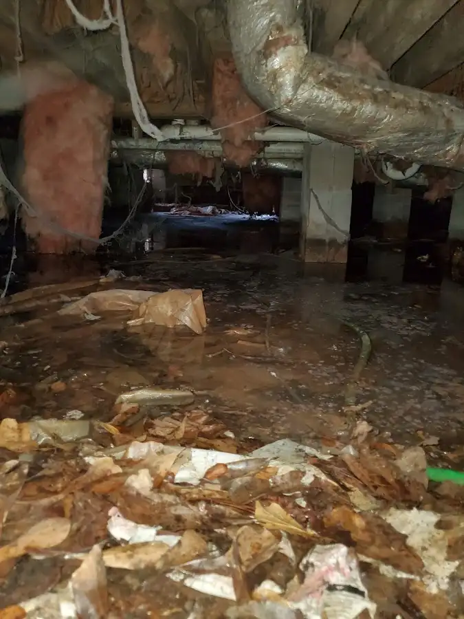 Crawl space flood assessment for Commercial Water Damage Restoration in Cambridge