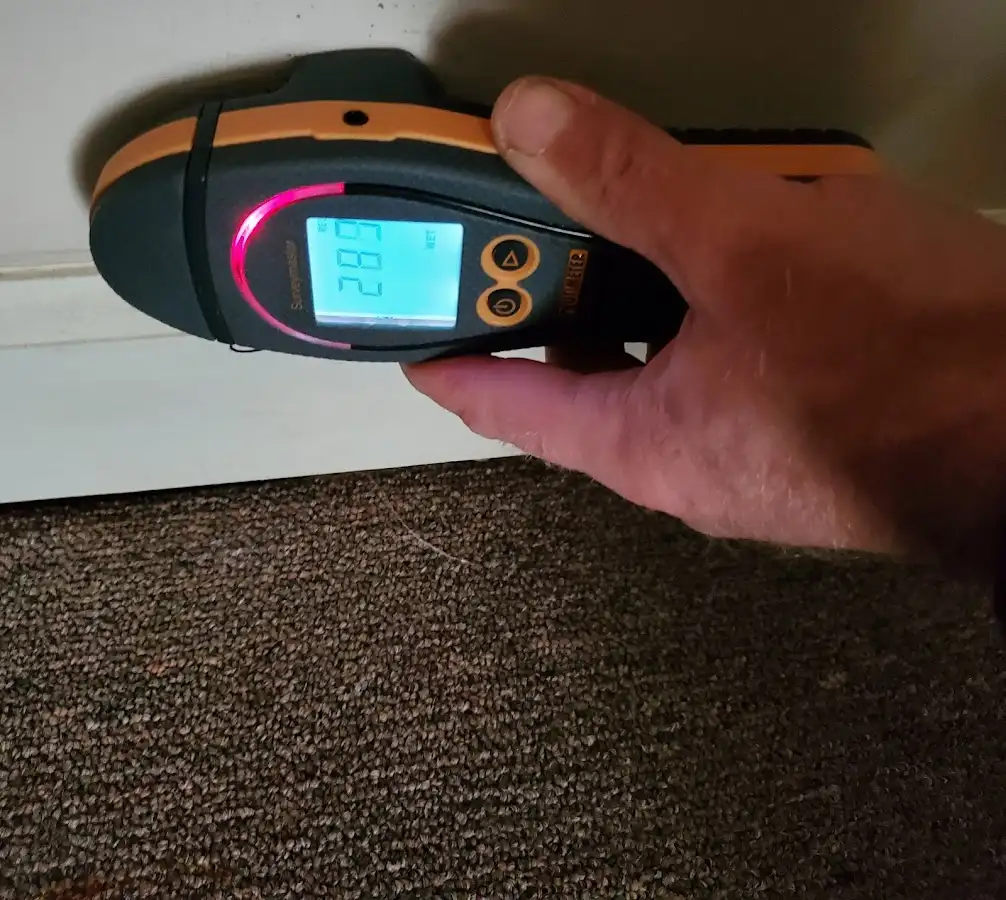 Moisture detection at baseboard during Mold Inspection & Testing in Cambridge